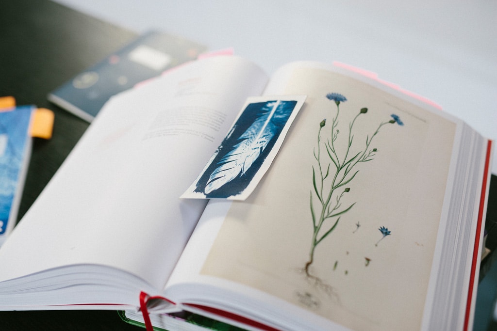 Flora Danica bog, bog på skrivebord, blå bogmærke, cyanotypi som bogmærke