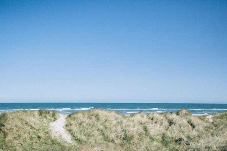 Fotografi,webshop,motiver natur