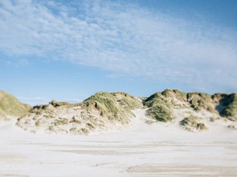 Vesterhavet klitter, sommer i danmark