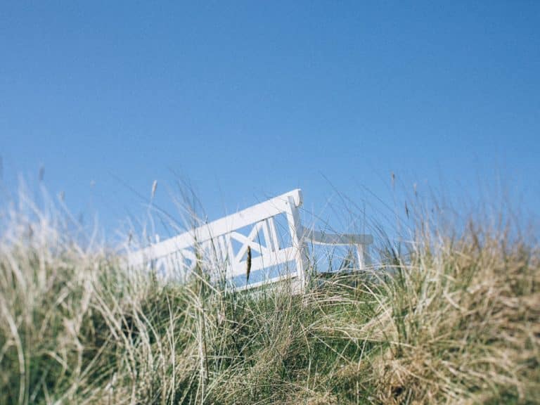 landskab,Vesterhavet,sommer i danmark